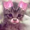 bb_ni_gordon