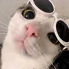 russelllaramadrid