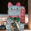evi_catlover