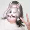 iu_giadinh17