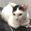moiandmoicon