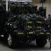 blackbulls33