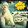 aliaaemam242