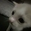 qwerty_22222229990