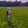 qory_1128