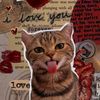your_picchi6