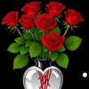 user6049255216641