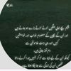 afshyafshy3