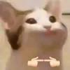 dmngbf