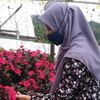 reenareen.aris