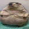 xtastyyy