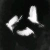 whitemoon_