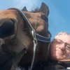 horse03florid2022