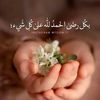 ranim13r