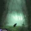 misterseventyseven