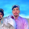pashtonzalmai0