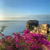 mariarugo6
