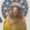 awdsawsdsawsdsaw