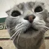 Федор Недостоевский