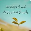 parenaz_00