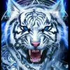 bovinoemexcesso22