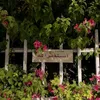 ta_alomary98