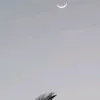 rayres_limaa