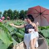 thynhungphan8