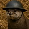 angry_duncan
