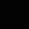 r31ii3