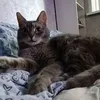 user5dmmxonpme