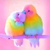 falylle_229