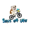 sons.of.ufo