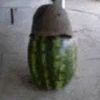 chill_zone49