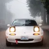 david_tc11