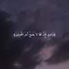 naiamhaidar