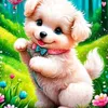 dyz4saxb1wqm