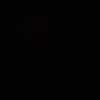 vassaloo