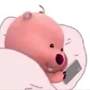 nznn2587