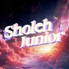 sjrt_48