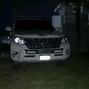 carlos_shelby1.17