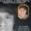 rafamarquez458
