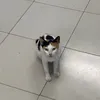 hxcozlqr