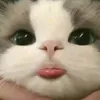 hellome_0120