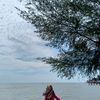 nurhidayahlubis38