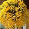 thanh.tung.nguyen95