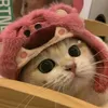 aintsoftie