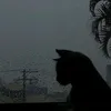 3h__n_o3