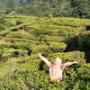 puji.irmawaty1
