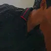 shayenvv